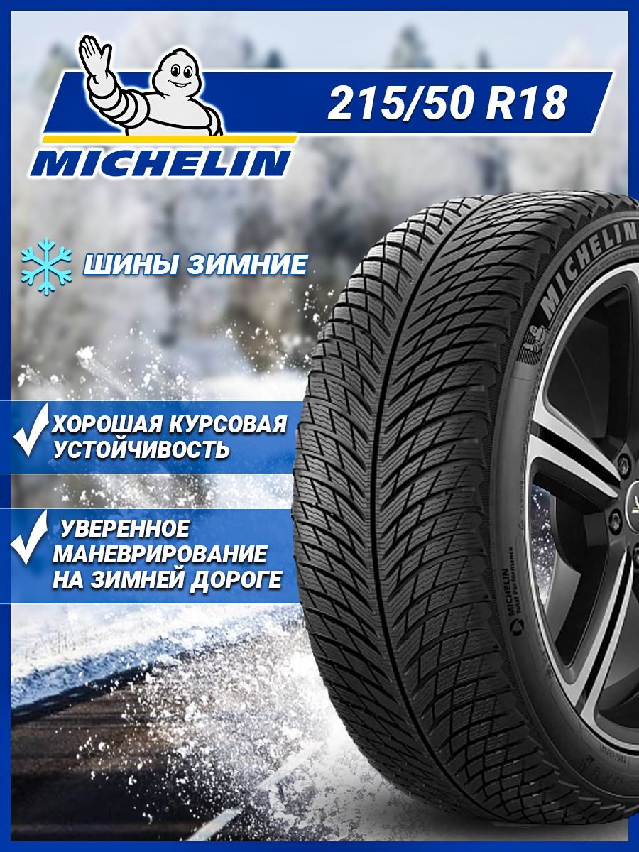 Шина Michelin Pilot Alpin 5 245/35R19 93W XL