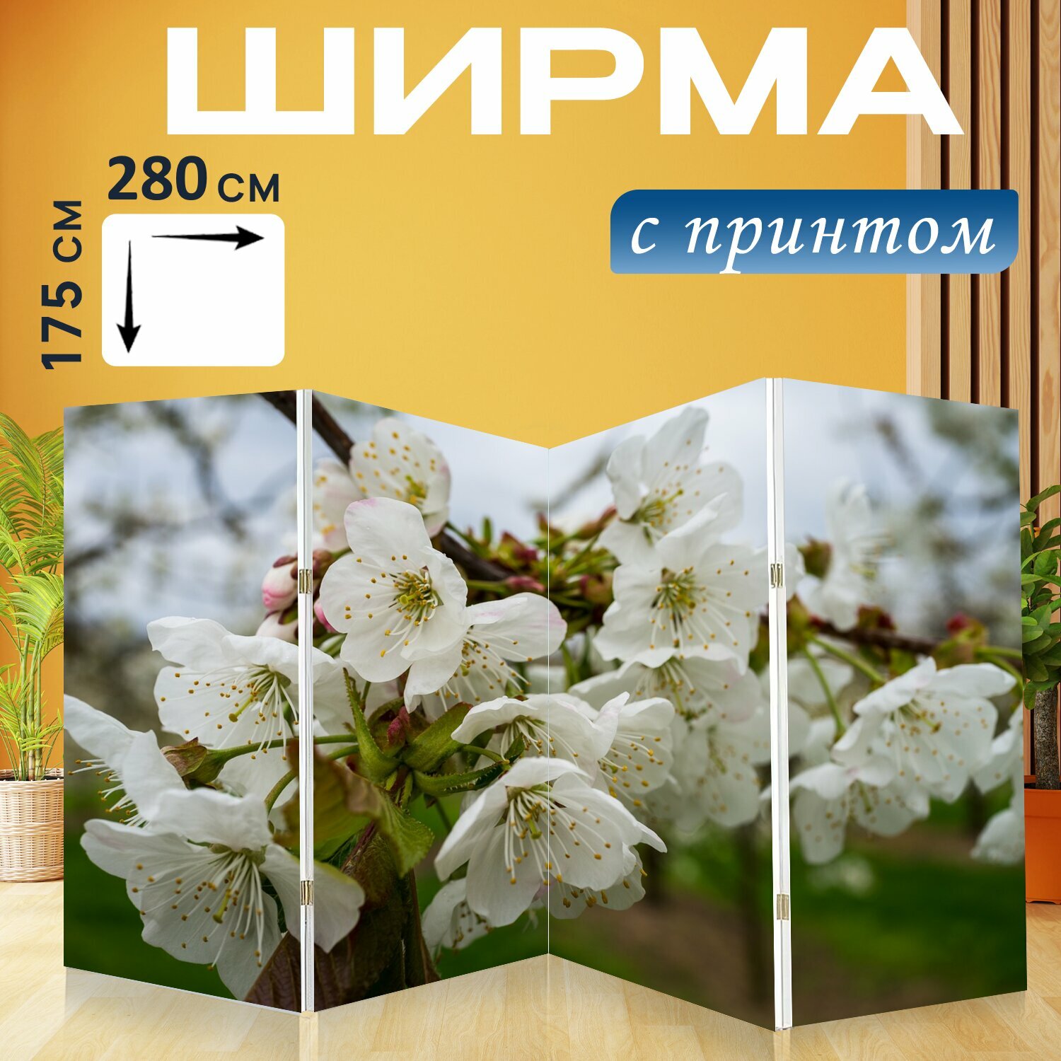 Ширма "Расцветает, белый, весна" перегородка для зонирования комнаты с принтом 280x175 см. на холсте