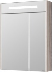 Зеркальный шкаф Акватон Сильва 60 с подсветкой 1A216202SIW60 Дуб фьорд