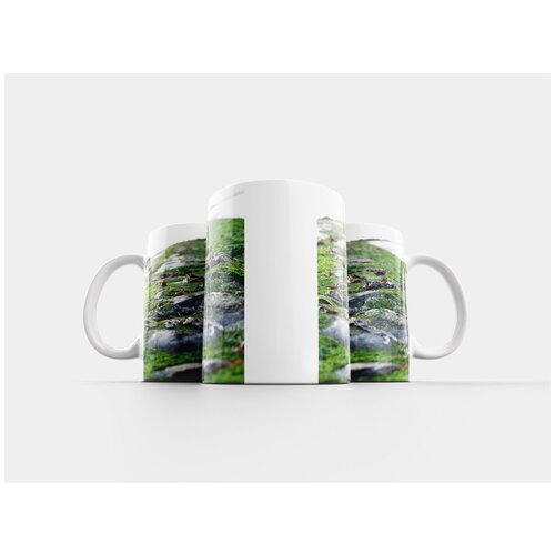фото Кружка "мох, дорожка, природа" 320 мл lotsprints
