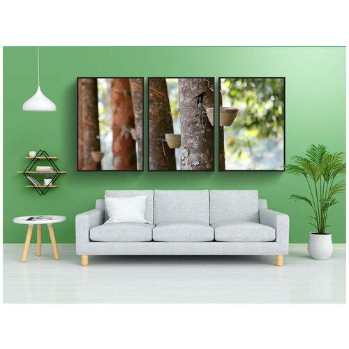 фото Набор модулных постеров для интерьера "смола, экстракцию смолы, дерево" 60x90 см. в тубусе, без рамки lotsprints