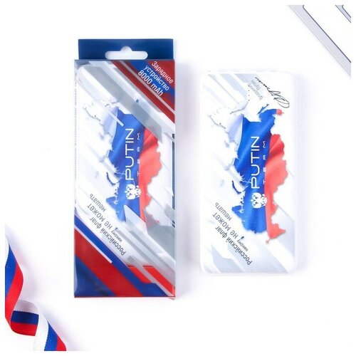 Зарядное устройство Российский флаг 8000мА модель PB-20 145 х 69 см 257200₽