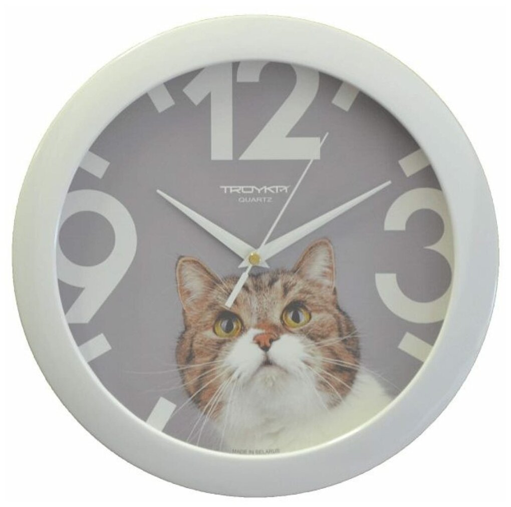 фото Настенные часы Тройка 11110193