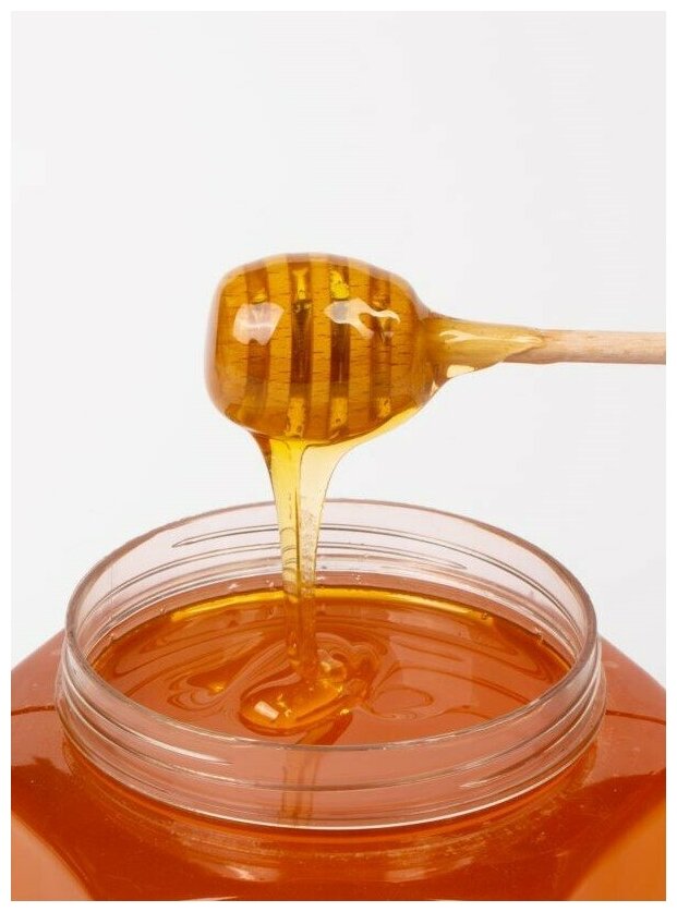 Мёд с кедровой живицей, 950 г - фотография № 4
