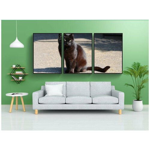 фото Набор модулных постеров для интерьера "черный кот, тень, животное" 60x90 см. в тубусе, без рамки lotsprints