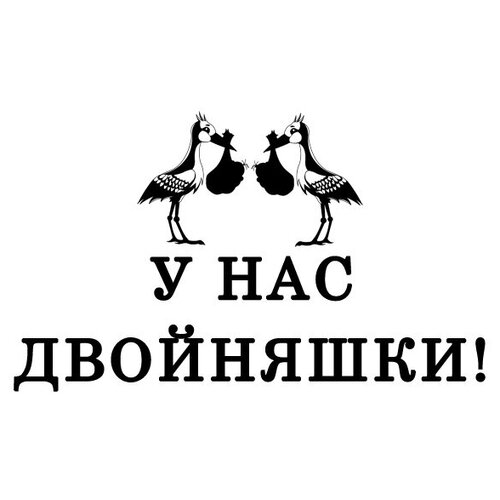 Наклейка У нас двойняшки. 200х300 мм