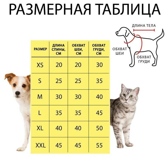 Комбинезон для собак, L (ДС 35 см, ОШ 35 см, ОГ 45 см) - фотография № 8