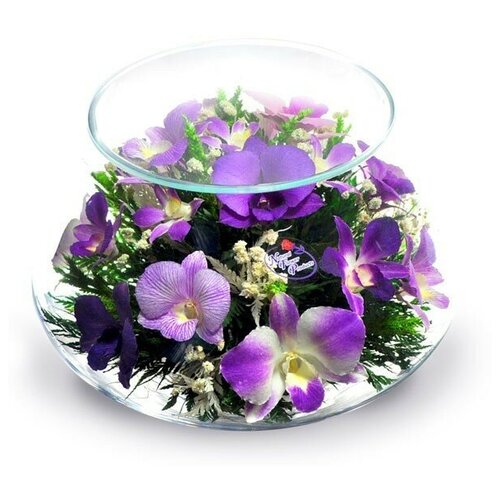 Роза аваланж пинч 11 шт