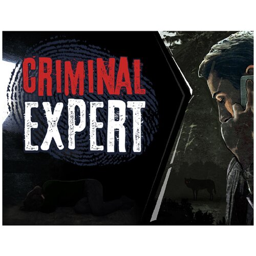 Criminal Expert