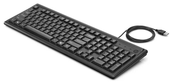Клавиатура HP Keyboard 100 black