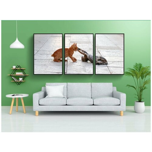 фото Набор модулных постеров для интерьера "кот, боевой, молодой" 60x90 см. в тубусе, без рамки lotsprints