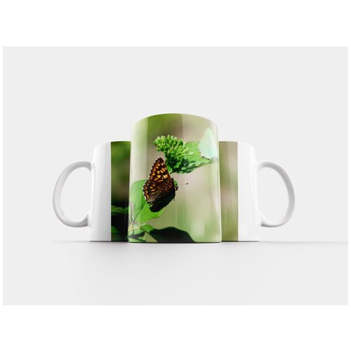 фото Кружка "герцог бордовый, бабочка, территориальность" 320 мл lotsprints