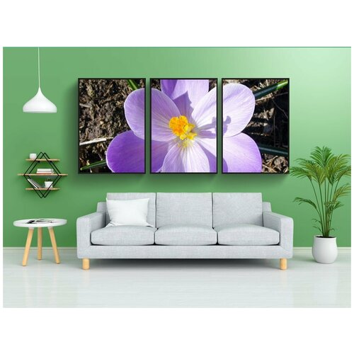 фото Набор модулных постеров для интерьера "крокус, цветок, весна" 60x90 см. в тубусе, без рамки lotsprints