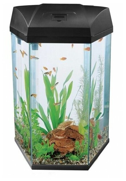 Аквариум AA- Aquariums Hexagon 22л, черный 330*300*433мм: отзывы покупателе...