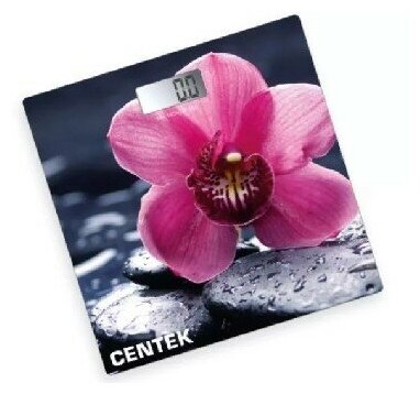 Весы Centek CT-2421 (spring flower) - фотография № 6