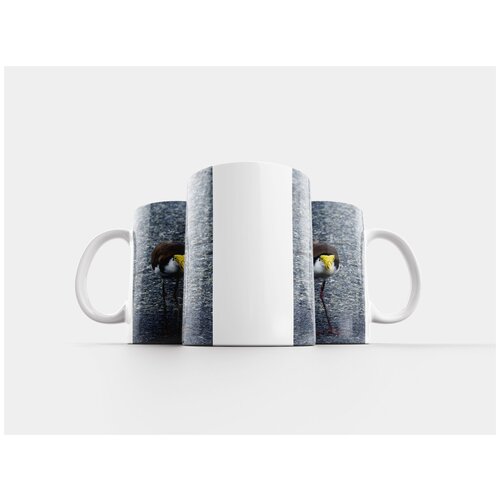 фото Кружка "замаскированный чибис, vanellus miles, charadriidae" 320 мл lotsprints