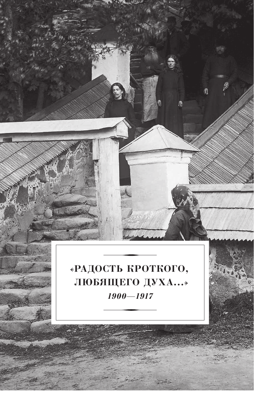 Радость кроткого любящего духа. Монастыри и монашество в русской жизни начала XX века - фото №10