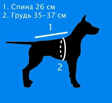 Дождевик комбинезон для собак "Прелесть", размер М (спинка 26 см, грудь 35 см) - фотография № 2