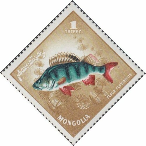 (1965-030) Марка Монголия Окунь Речные хищные рыбы III O плакат речные рыбы 2165