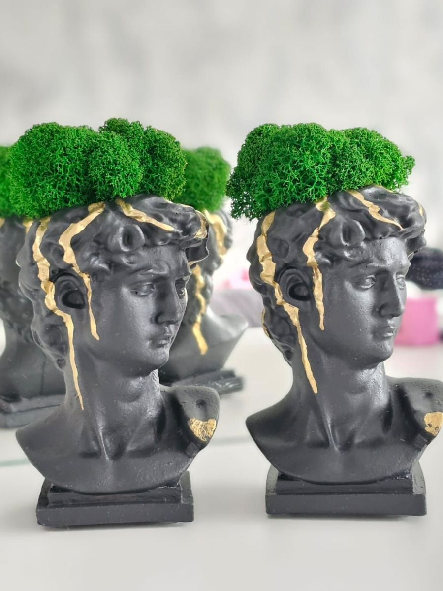 фото Кашпо из гипса Давид черный, стабилизированный мох