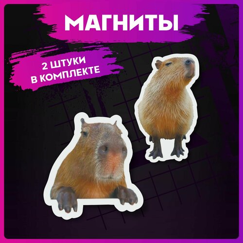 Магниты для доски Капибара 280₽