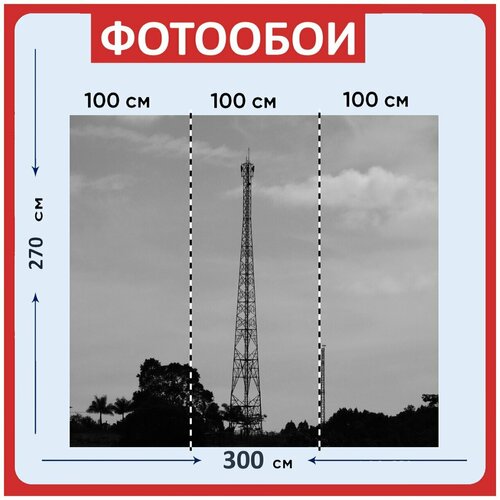 Фотообои Башня черный и белый природа 300x270 см флизелиновыена стену 3950₽
