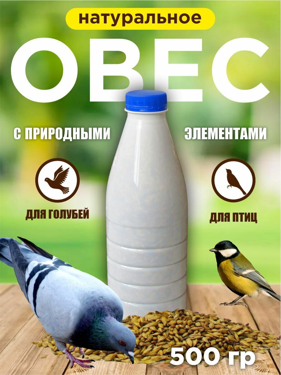 Корм для уличных и лесных птиц и грызунов