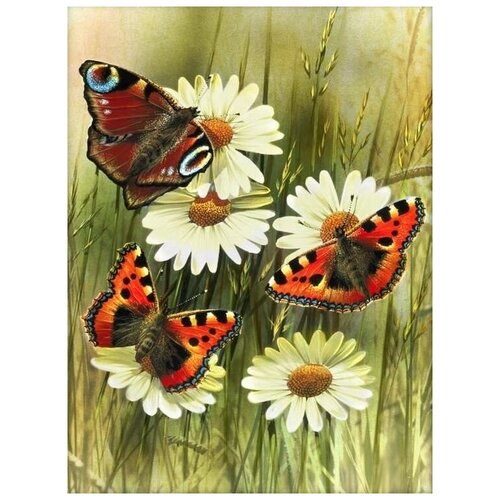 Алмазная мозаика "Бабочки", 30x40, см, Алмазная Живопись