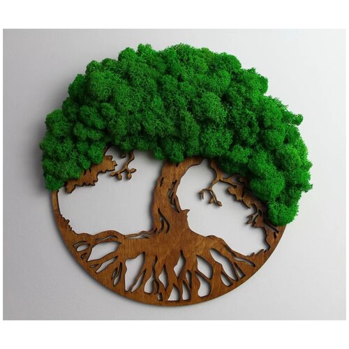 Панно из стабилизированного мха 