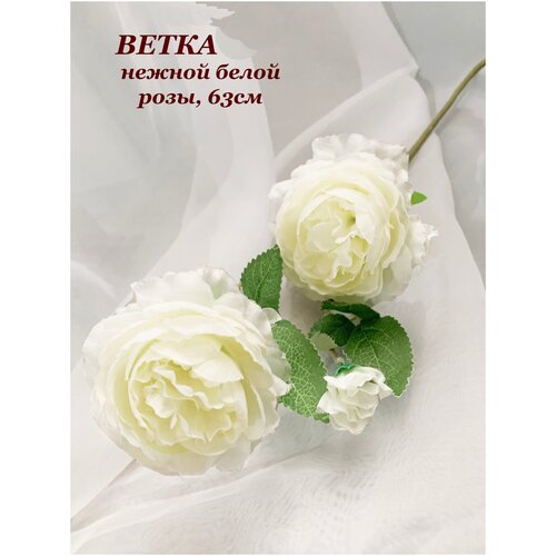 Чайная роза, 3 соцветия на ветке, 65см