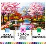 Картина стразами (алмазная мозаика) 30*40 см, остров сокровищ 