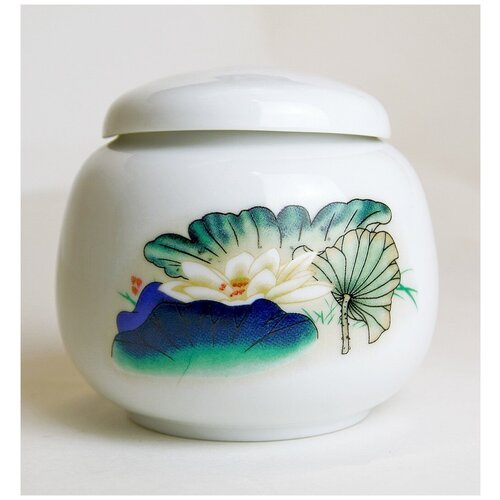 Чайница белая 