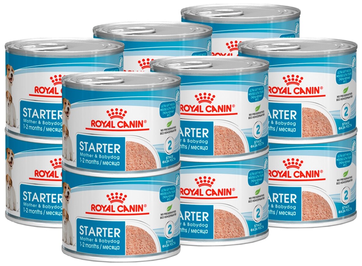 Влажный корм для кормящих собак и щенков Royal Canin Starter Mousse 12 уп. х 1 шт. х 195 г