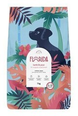 FLORIDA (Флорида) Сухой корм для щенков малых пород с ягненком и грушей 3 кг