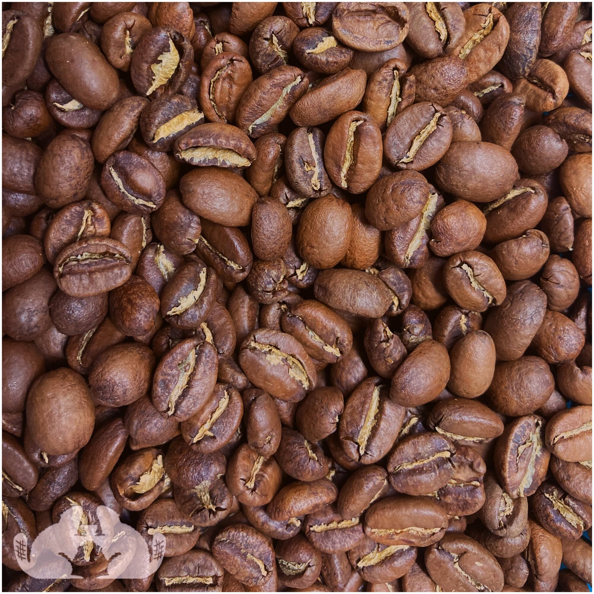 Кофе в зернах Эфиопия Сидамо Dobro Coffee Microroasters, свежая обжарка под фильтр, 200г - фотография № 4