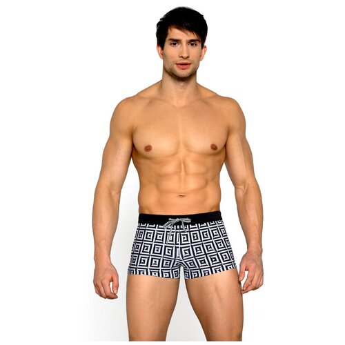 фото Плавки- шорты пляжные мужские lorin,размер s(российский размер 42-44)