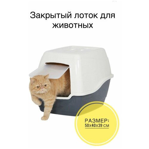 Закрытый лоток (туалет) для кошек 50*40*39, темно-серый