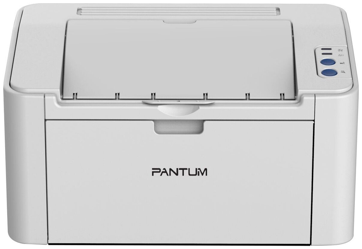 Принтер Pantum P2506W черно-белый, цвет: серый