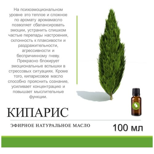 Эфирное натуральное масло кипариса - 100 мл