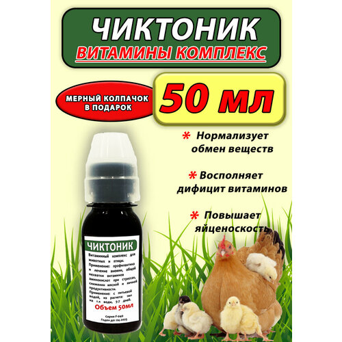 Чиктоник 50мл витамины для животных и птицы товары для животных blumenhaus кормушка для птиц металлическая универсальная сыпучий корм фрукты 19х15х21 см