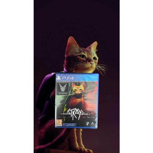 Stray ps4