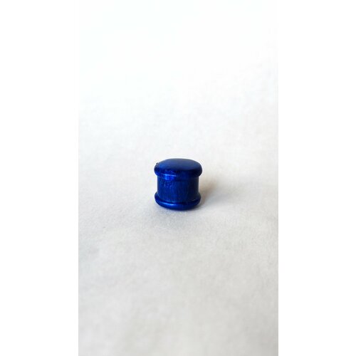 Серьги XEENNIX Тоннели Плаги, размер/диаметр 12 мм, синий