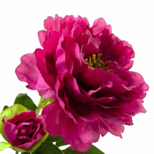 Цветок искусственный Пион Искусственное декоративное растение Ветка Сухоцвет Прованс Сканди