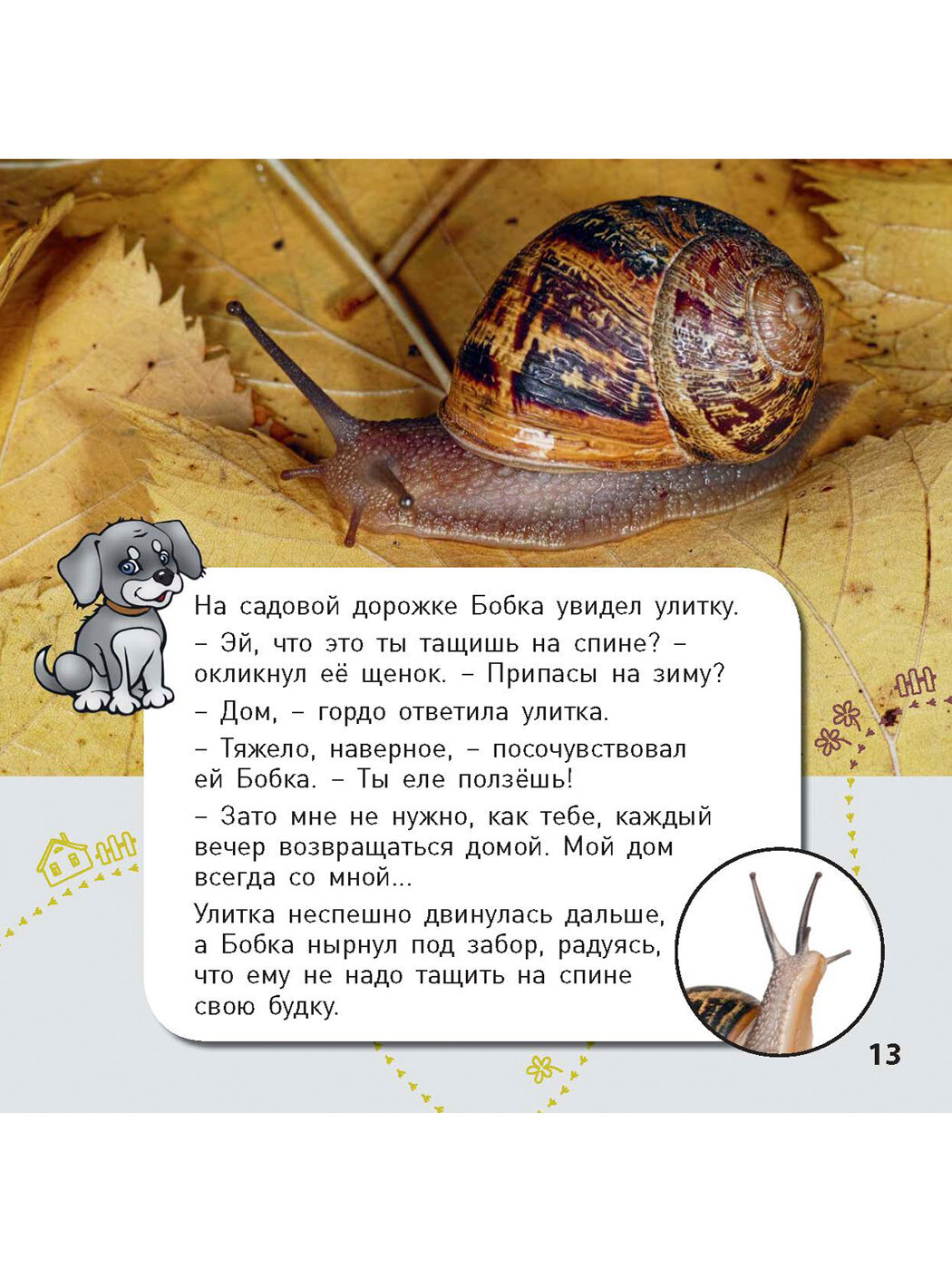 Кто где живёт? (Наставник Э.) - фото №5