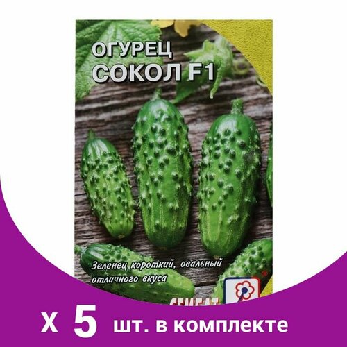 Семена Огурец 'Сокол', F1, 0,2 г (5 шт)