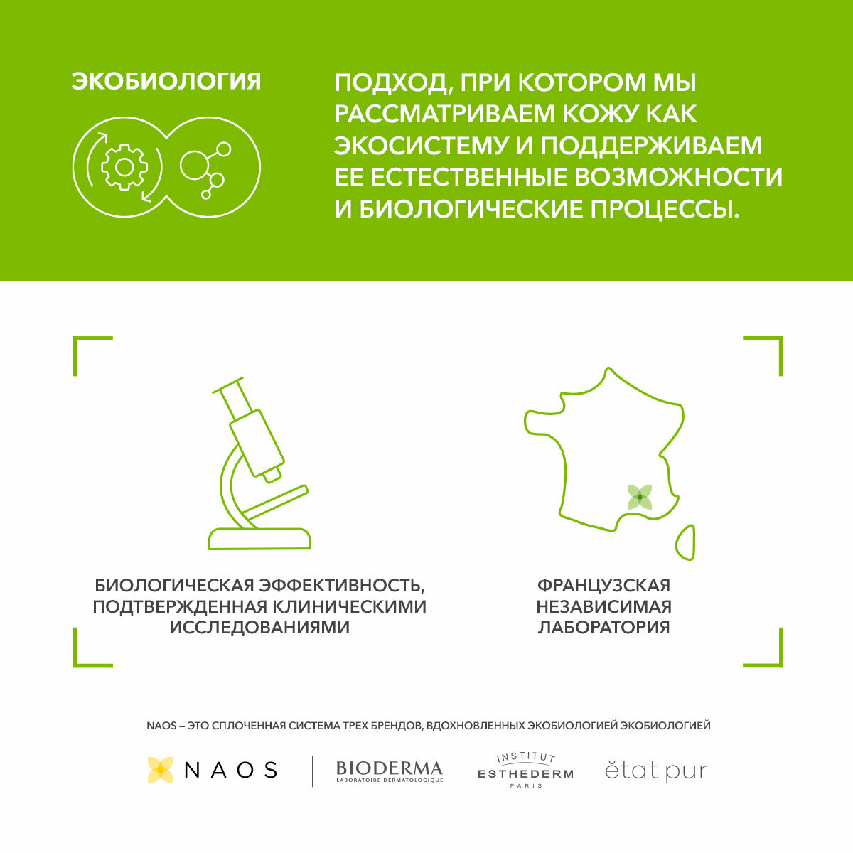 Гель для умывания BIODERMA Sebium, для жирной и проблемной кожи, 100мл — фото 1