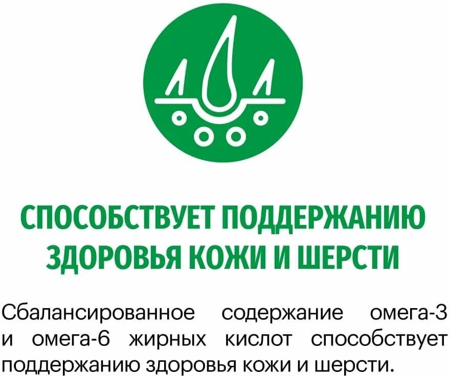Сухой корм Karmy Mini Adult для взрослых собак мелких пород старше 1 года, Индейка 10 кг — фото 1