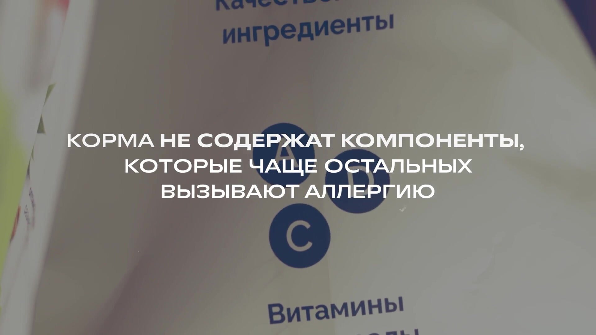 AVANCE holistic набор: Полнорационный сухой корм для взрослых собак крупных пород, с ягненком, индейкой и бурым рисом, 2 шт*3 кг — фото 1
