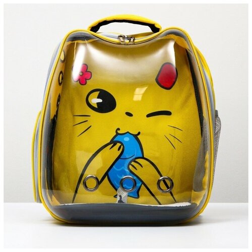 фото Рюкзак для переноски животных "котик", прозрачный, 34 х 25 х 40 см, жёлтый пижон