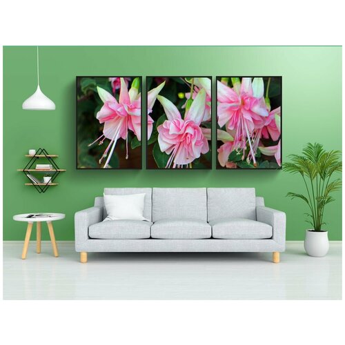 фото Набор модулных постеров для интерьера "фуксия, закрывать, балконное растение" 60x90 см. в тубусе, без рамки lotsprints